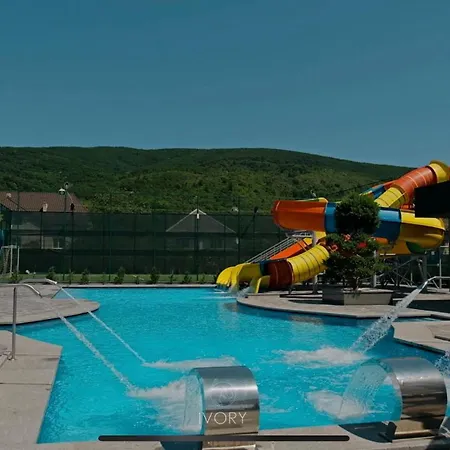 Ivory And Hotel Vynohradiv