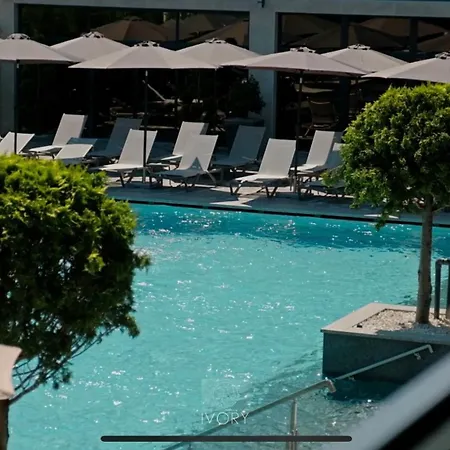 Hotel Ivory And Vynohradiv