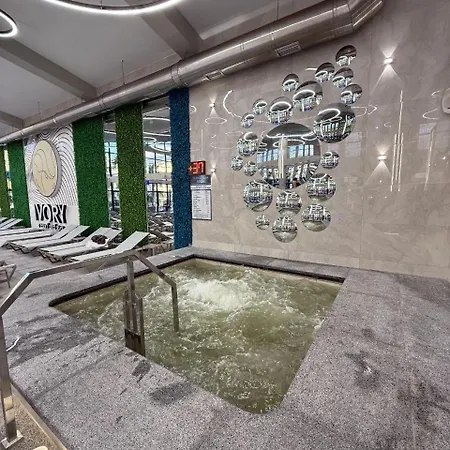 Hotel Ivory And Vynohradiv